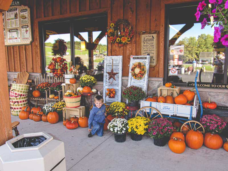 Random picture of things for the home