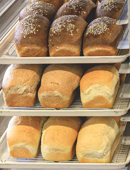 Bread
